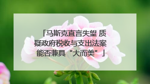 马斯克直言失望 质疑政府税收与支出法案能否兼具“大而美”
