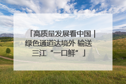 高质量发展看中国｜绿色通道达境外 输送三江“一口鲜”