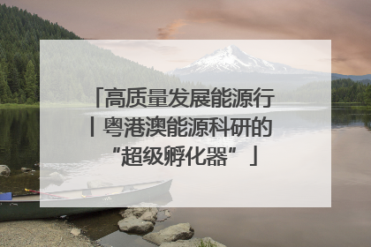 高质量发展能源行丨粤港澳能源科研的“超级孵化器”