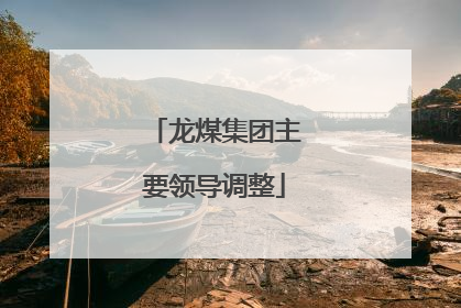 龙煤集团主要领导调整
