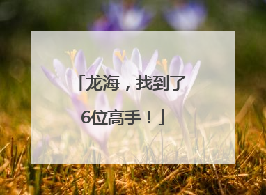 龙海，找到了6位高手！