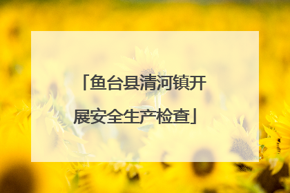 鱼台县清河镇开展安全生产检查