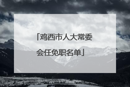 鸡西市人大常委会任免职名单