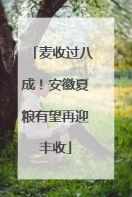 麦收过八成！安徽夏粮有望再迎丰收