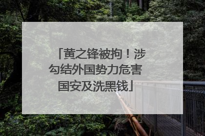 黄之锋被拘！涉勾结外国势力危害国安及洗黑钱