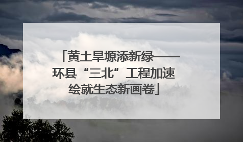 黄土旱塬添新绿——环县“三北”工程加速绘就生态新画卷