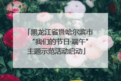 黑龙江省暨哈尔滨市“我们的节日·端午”主题示范活动启动
