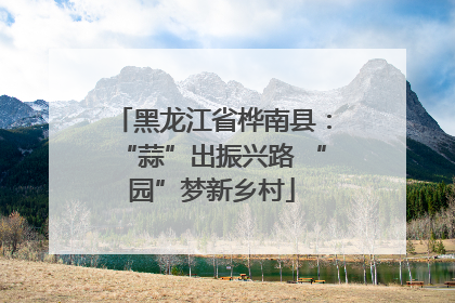 黑龙江省桦南县：“蒜”出振兴路 “园”梦新乡村