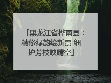 黑龙江省桦南县：精修绿韵绘新景 细护芳枝映晴空
