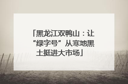 黑龙江双鸭山：让“绿字号”从寒地黑土挺进大市场