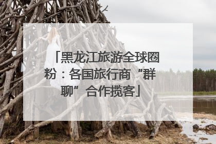 黑龙江旅游全球圈粉：各国旅行商“群聊”合作揽客