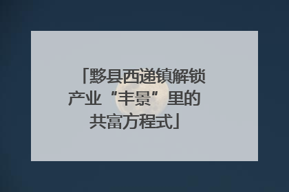黟县西递镇解锁产业“丰景”里的共富方程式