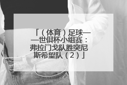 （体育）足球——世俱杯小组赛：弗拉门戈队胜突尼斯希望队（2）