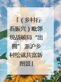 （乡村行·看振兴）毗邻统战破局“出圈” 浙沪乡村绘就共富新图景