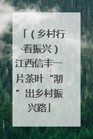 （乡村行·看振兴）江西信丰一片茶叶“沏”出乡村振兴路