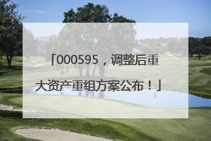 000595，调整后重大资产重组方案公布！