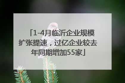 1-4月临沂企业规模扩张提速，过亿企业较去年同期增加55家