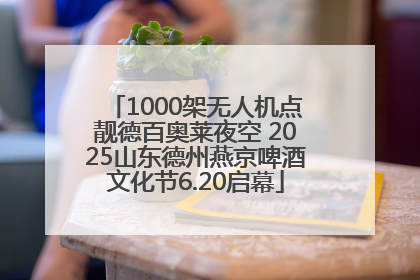 1000架无人机点靓德百奥莱夜空 2025山东德州燕京啤酒文化节6.20启幕