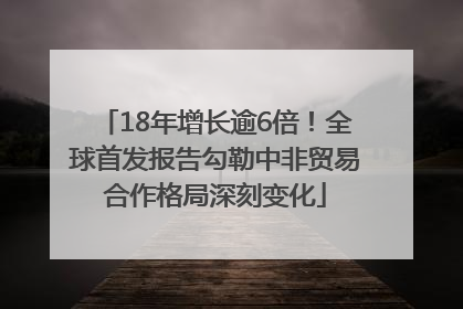 18年增长逾6倍！全球首发报告勾勒中非贸易合作格局深刻变化