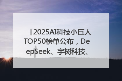 2025AI科技小巨人TOP50榜单公布，DeepSeek、宇树科技、蘑菇车联等企业荣誉上榜
