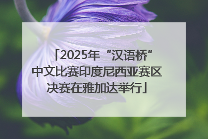 2025年“汉语桥”中文比赛印度尼西亚赛区决赛在雅加达举行