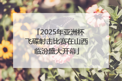2025年亚洲杯飞碟射击比赛在山西临汾盛大开幕