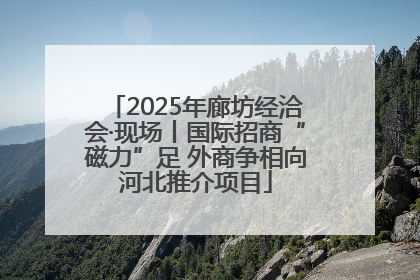 2025年廊坊经洽会·现场丨国际招商“磁力”足 外商争相向河北推介项目