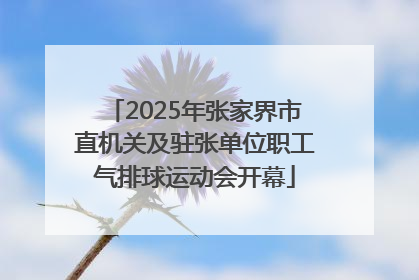 2025年张家界市直机关及驻张单位职工气排球运动会开幕