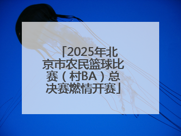 2025年北京市农民篮球比赛（村BA）总决赛燃情开赛