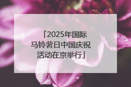 2025年国际马铃薯日中国庆祝活动在京举行