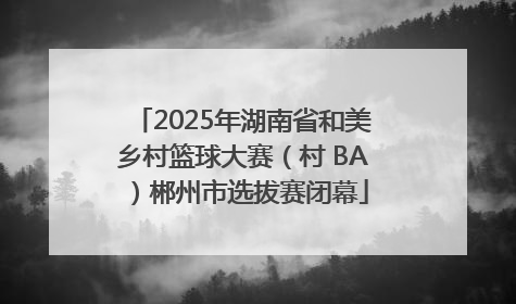 2025年湖南省和美乡村篮球大赛（村 BA）郴州市选拔赛闭幕