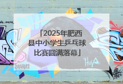 2025年肥西县中小学生乒乓球比赛圆满落幕