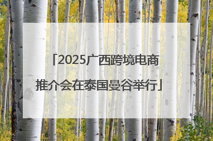 2025广西跨境电商推介会在泰国曼谷举行