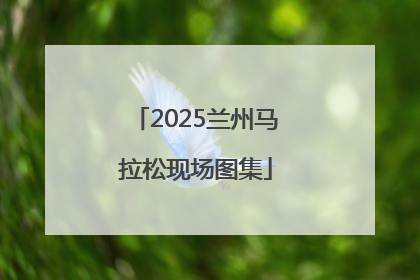 2025兰州马拉松现场图集