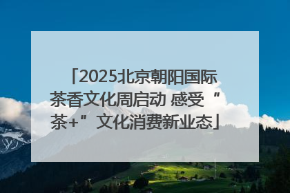 2025北京朝阳国际茶香文化周启动 感受“茶+”文化消费新业态
