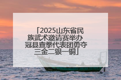 2025山东省民族武术邀请赛举办 冠县查拳代表团勇夺三金二银一铜