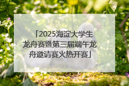 2025海淀大学生龙舟赛暨第三届端午龙舟邀请赛火热开赛