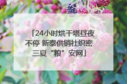 24小时烘干塔昼夜不停 新泰供销社织密三夏“粮”安网