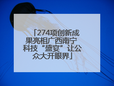274项创新成果亮相广西南宁 科技“盛宴”让公众大开眼界