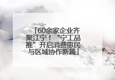 60余家企业齐聚江宁！“宁工品推”开启消费惠民与区域协作新篇