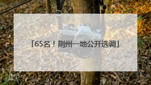 65名！荆州一地公开选调