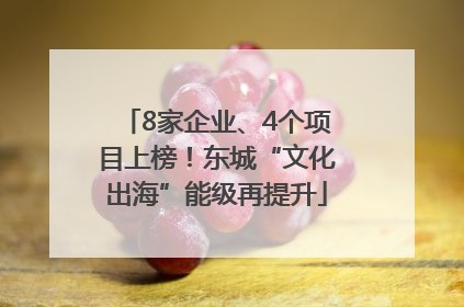 8家企业、4个项目上榜！东城“文化出海”能级再提升