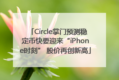 Circle掌门预测稳定币快要迎来“iPhone时刻” 股价再创新高