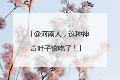 @河南人，这种神奇叶子该吃了！