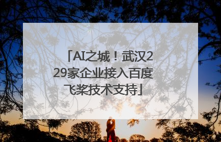 AI之城！武汉229家企业接入百度飞桨技术支持