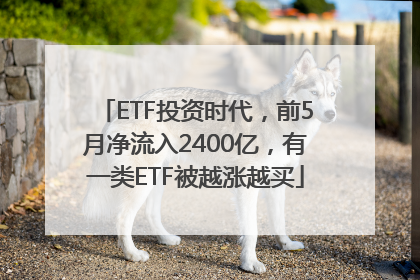 ETF投资时代，前5月净流入2400亿，有一类ETF被越涨越买