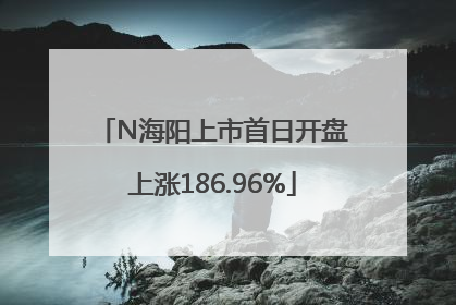 N海阳上市首日开盘上涨186.96%