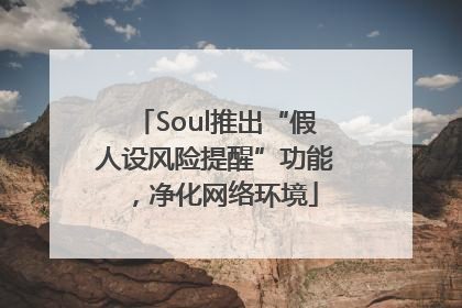 Soul推出“假人设风险提醒”功能，净化网络环境