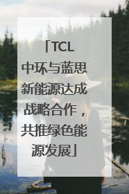 TCL 中环与蓝思新能源达成战略合作，共推绿色能源发展